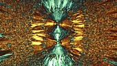 EDTA crystals, light micrograph