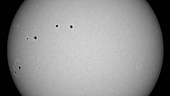 Sunspots, time-lapse SDO footage