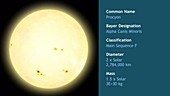 Procyon A main sequence star, animation