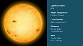 Epsilon Eridani main sequence star