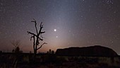 Stars over Uluru