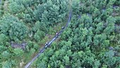 Cyclists in forest