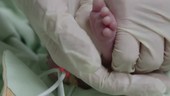 Newborn in ICU
