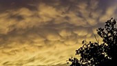 Mammatus clouds in the sky