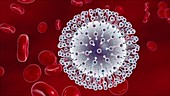 Zika virus in blood
