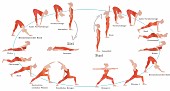 Power-Yoga-Zyklus