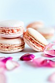 Pink macaroons with buttercream filling