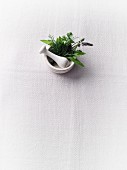 Herbs in a mortar on a white surface
