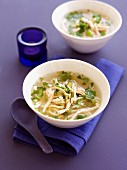 Chicken Coriander Noodle Soup