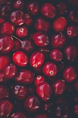 Cranberries (full-frame)