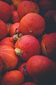 Orange pumpkins