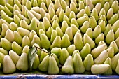 Water apples at a market (Thailand, Asia)