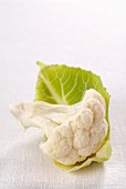 A cauliflower floret with a leaf