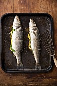 Two whole branzini on a baking tray stuffed with lemons and herbs, ready to roast