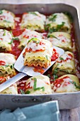 Vegetarian lasagne with ricotta, spinach and tomatoes