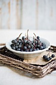 Aronia berries in a white porcelain bowl