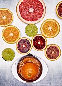 Various citrus fruits and a stainless steel juicer on a metal surface