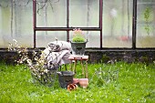 Obstbaumblütenzweige in Drahtkorb und Tontöpfe auf grüner Frühlingswiese mit rustikalen Wolldecken und Blütenpflanze auf Hocker vor Gewächshaus