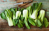 Bok choy with a knife on a wooden board