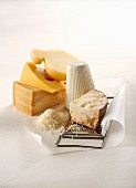 Various types of cheese with a grater