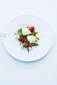 White tomato foam with tomatoes and rocket