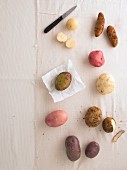 Assorted types of potato