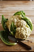 Cauliflower