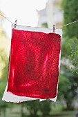 Plum fruit leather hanging on a line