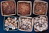 Various edible mushrooms in wooden baskets (seen above)
