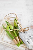 Tulips buds and leaves wrapped in tape on napkin