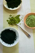 Green superfood powders in bowls and on a spoon