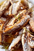 Stuffed anchovies with rosemary