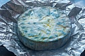 Blue cheese with penicillium