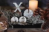 Festive arrangement of lichen and furniture knobs hand-painted with birds in box