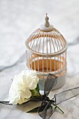 White carnation tied with black ribbon and birdcage ornament on marble surface