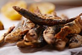 Fried sardines (close-up)