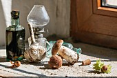 Stillleben mit Steinpilzen, Balsamico und Knoblauch auf der Fensterbank im Sonnenlicht
