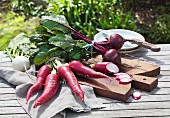 Radishes and beetroot on a garden table