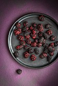 Blackberries on a black plate