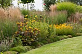 Yellow rudbeckia and ornamental grasses next to lawn in summer garden