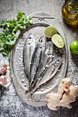 Raw sardines on a silver tray with ingredients