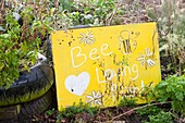 Bee loving plants