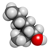2-ethylhexanol molecule