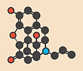 Naloxone molecule