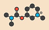 Pyridostigmine cholinesterase molecule