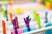 Colourful clothes pegs