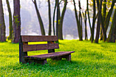 Park bench and green grass