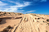 Tracks in desert