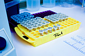 Samples in multiwell tray in lab