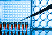 Microtubes and pipette